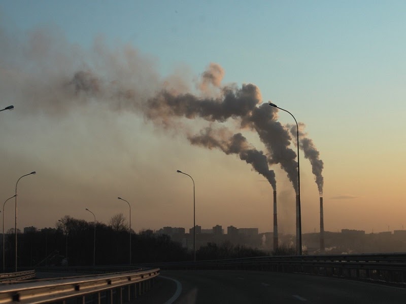 Ô nhiễm môi trường dẫn tới thiếu hụt oxy 